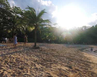 Frenchman's Cove