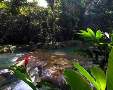 YS Falls